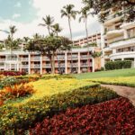 luxurious apartments with garden