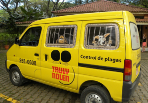 insect control